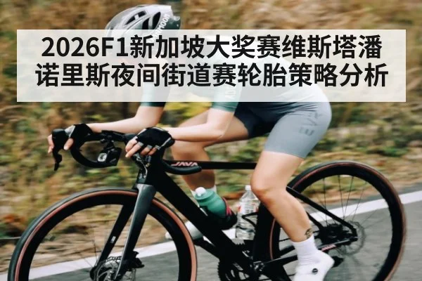 2026F1新加坡大奖赛维斯塔潘诺里斯夜间街道赛轮胎策略分析